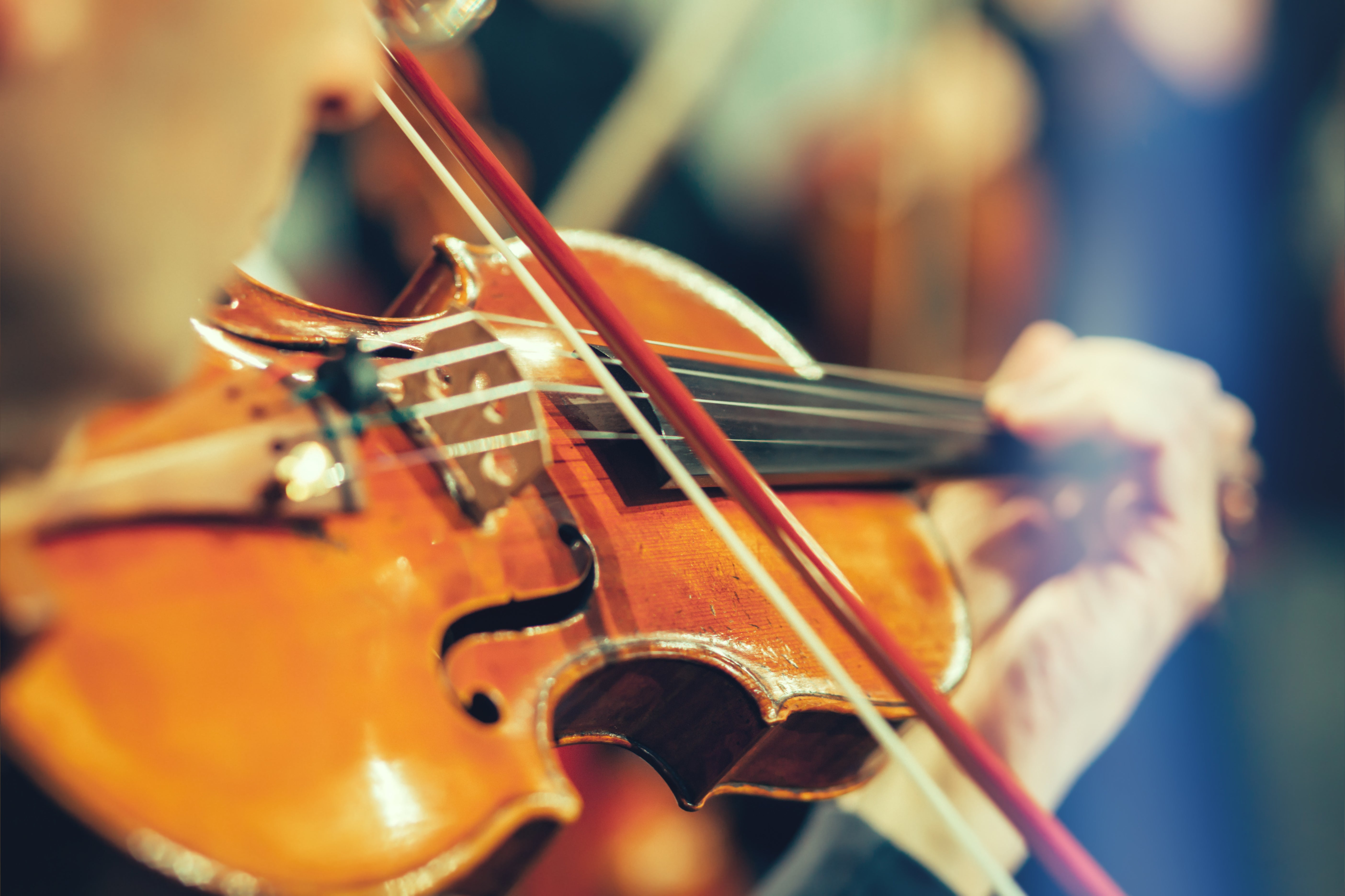 Scared to buy a violin, viola, or cello online? Don't be!!
