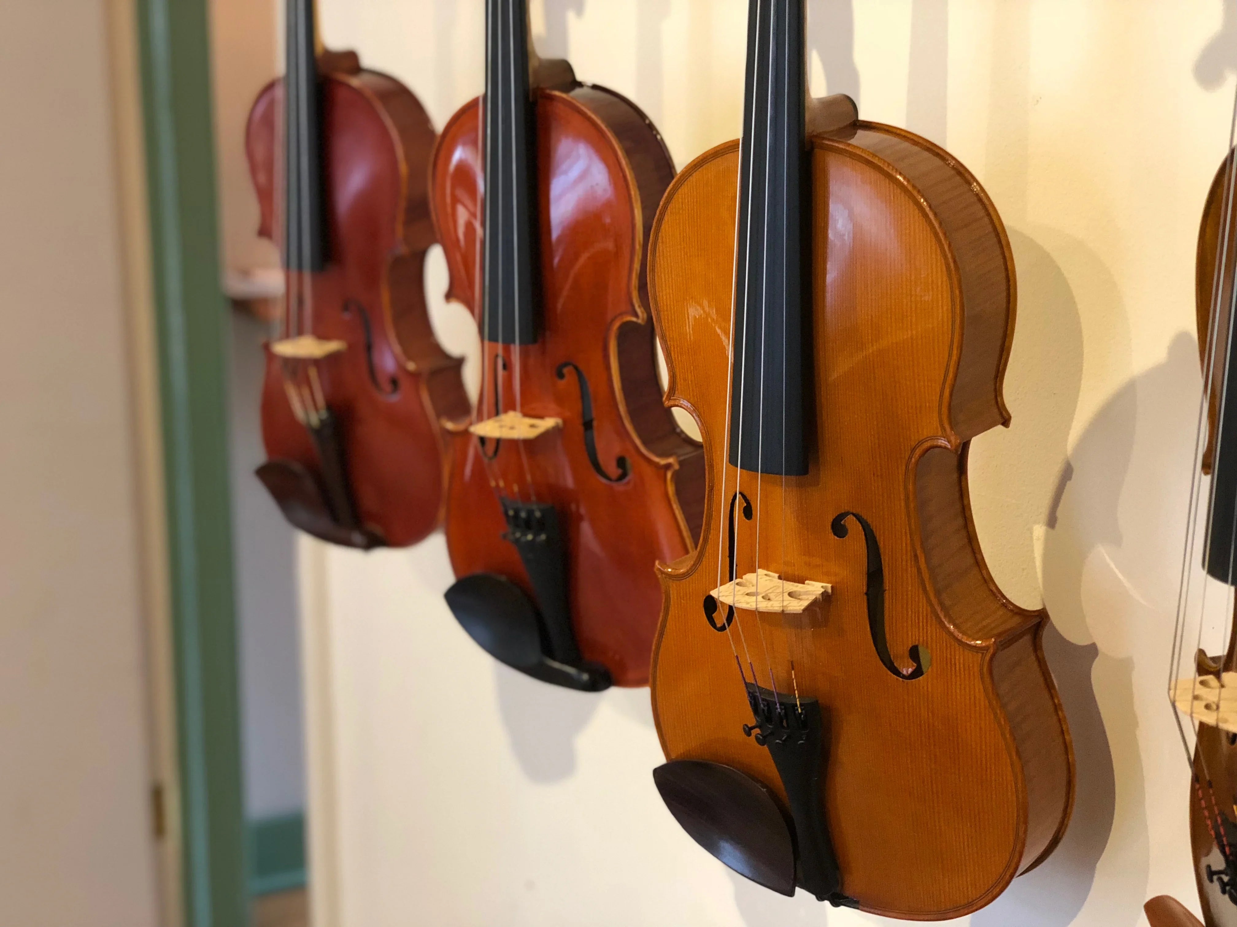 Beginner Violas for Sale