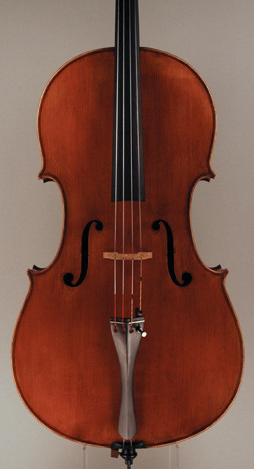 Cello by Marius Gyorke, Reghin 2008