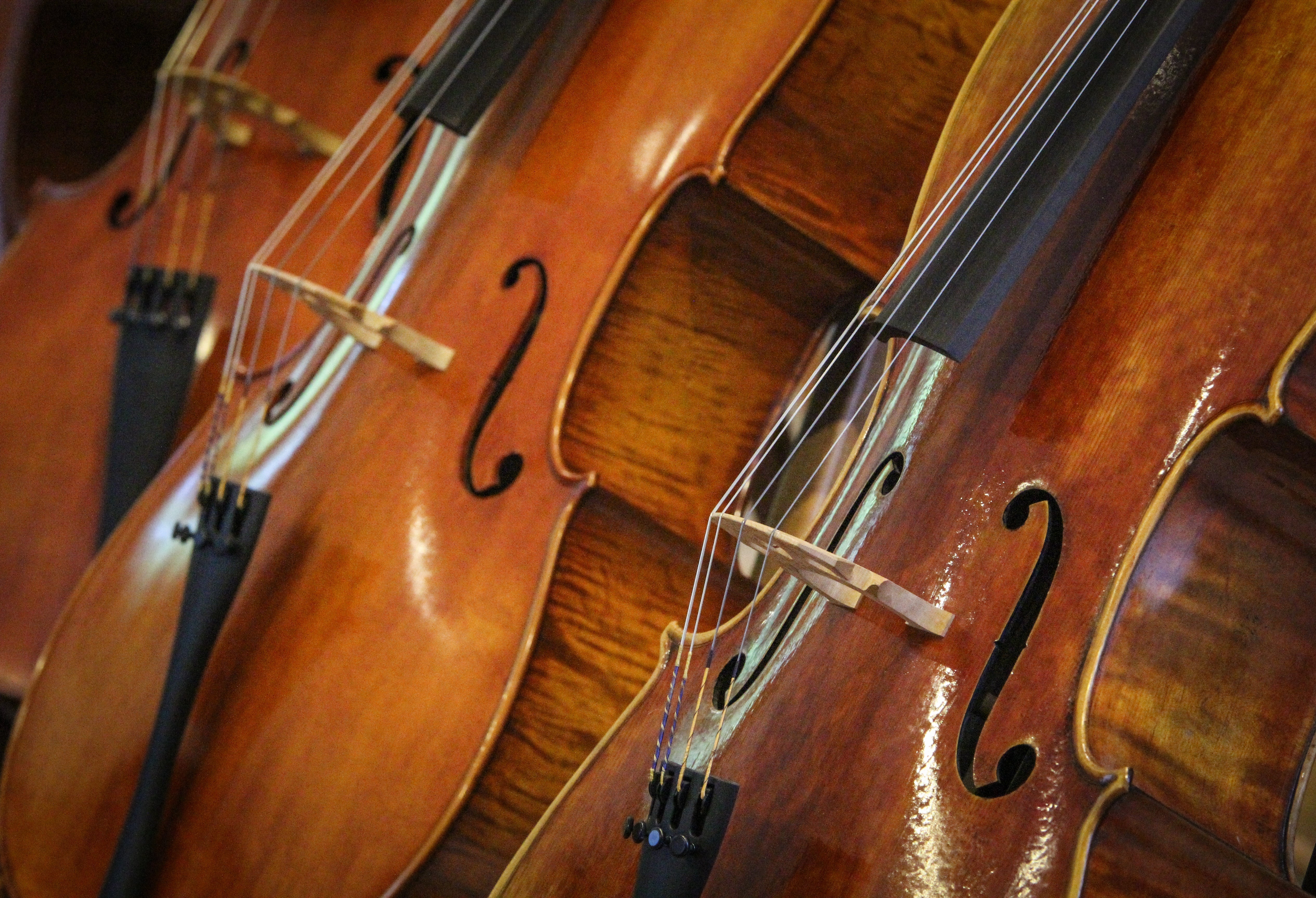 What Makes A Good Beginner Cello?