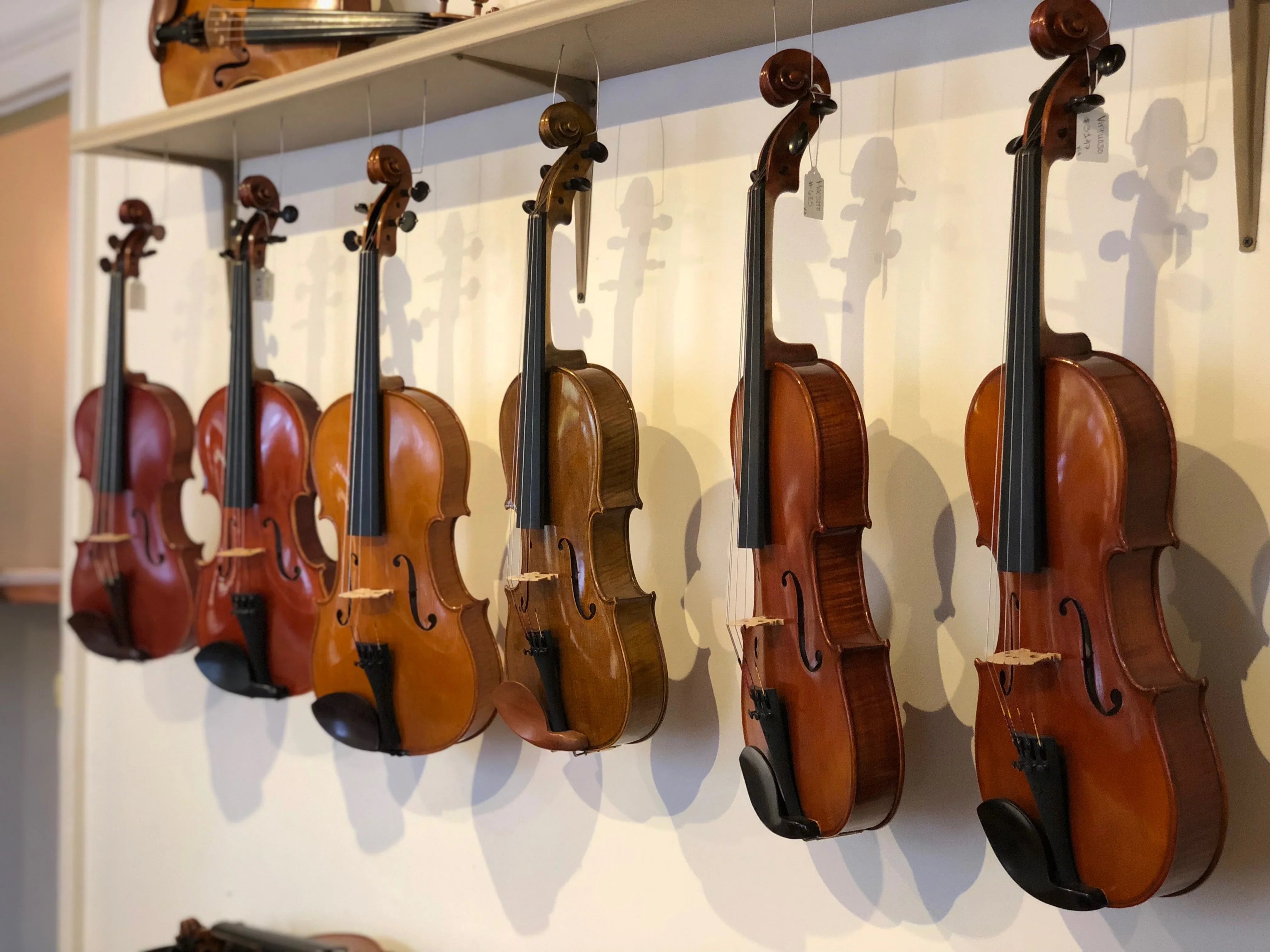Intermediate Violas for Sale
