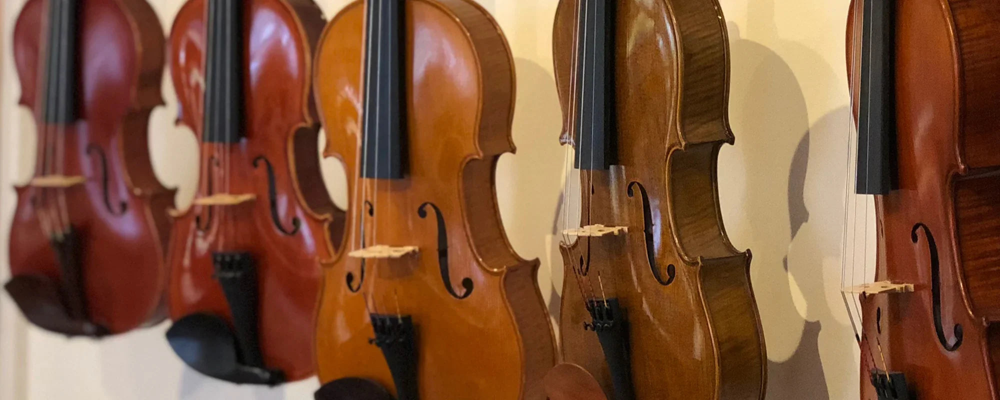 Premium viola with aged maple and spruce construction, available in sizes 13-16.5 inches for students through professional players