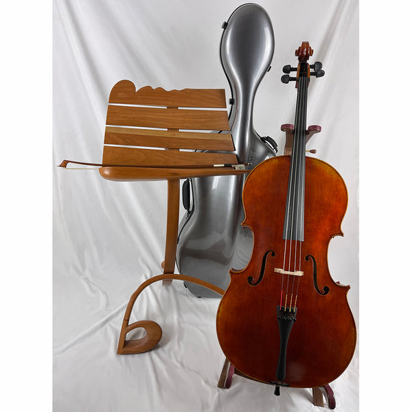StringWorks Artist cello outfit