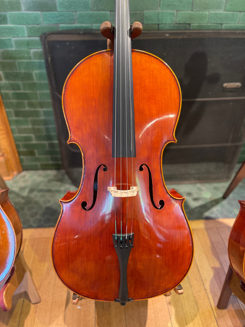 Blemished Man Claudiu Guadagnini Cello